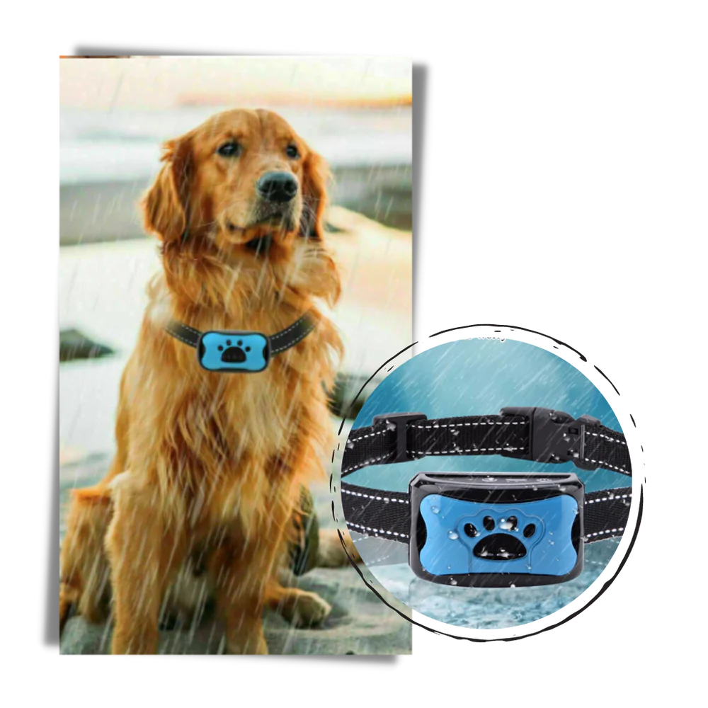 Anti bark Collar