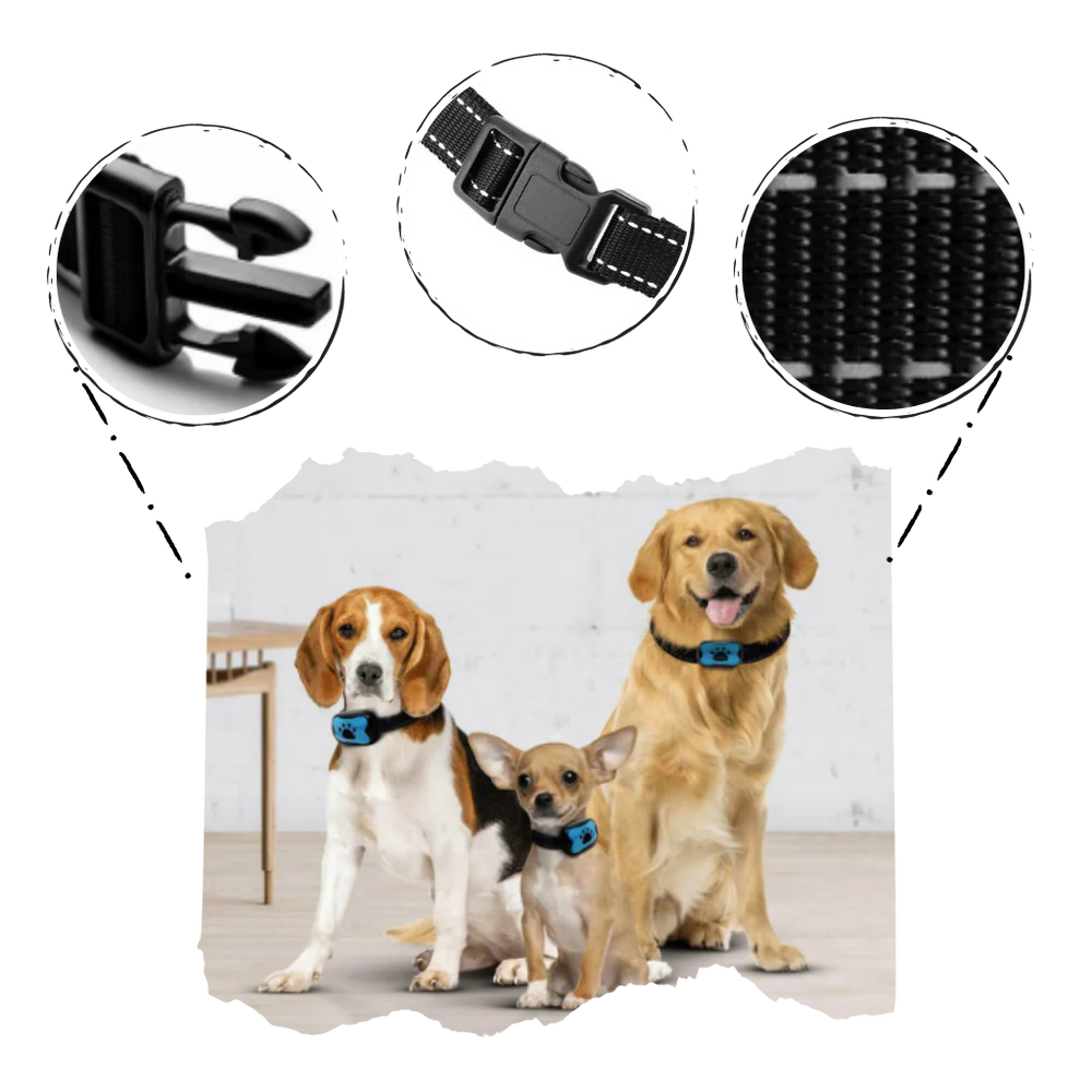 Anti bark Collar
