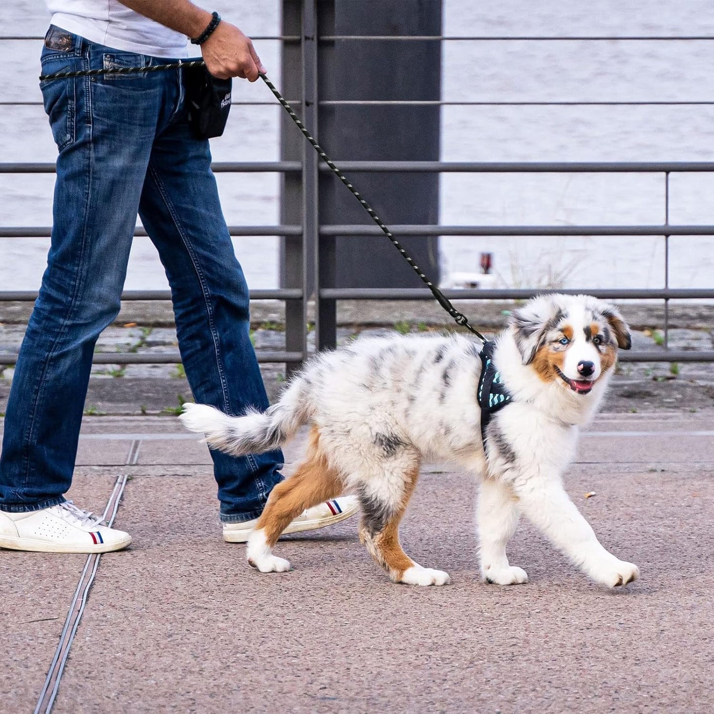 6 FT Strong Pet Dog Leash