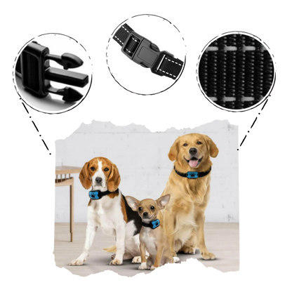 Anti bark Collar